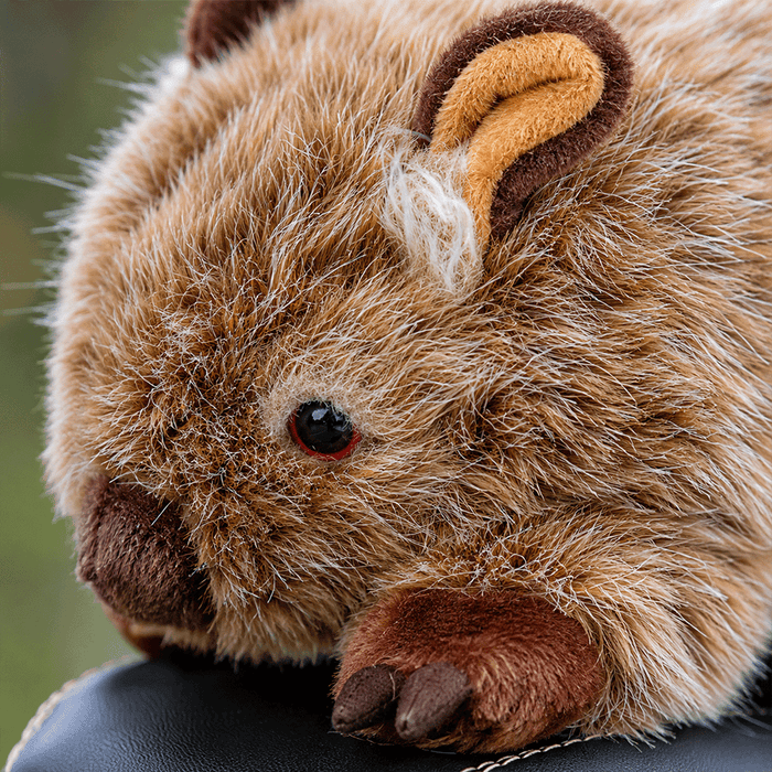 WOMBAT 460cc HEADCOVER